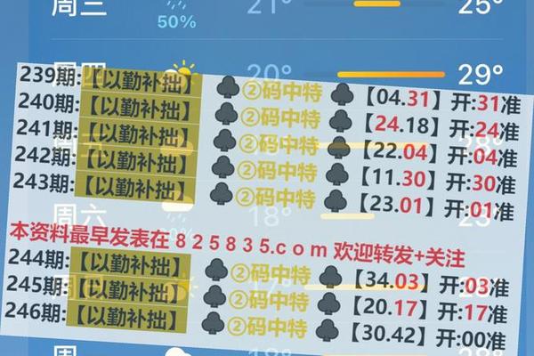 新奧彩資料免費(fèi)提供,精確解答解釋落實(shí)_安卓2113.2458